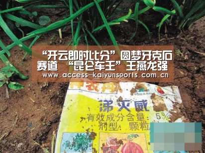 开云体育首页