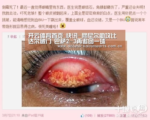 开云即时比分