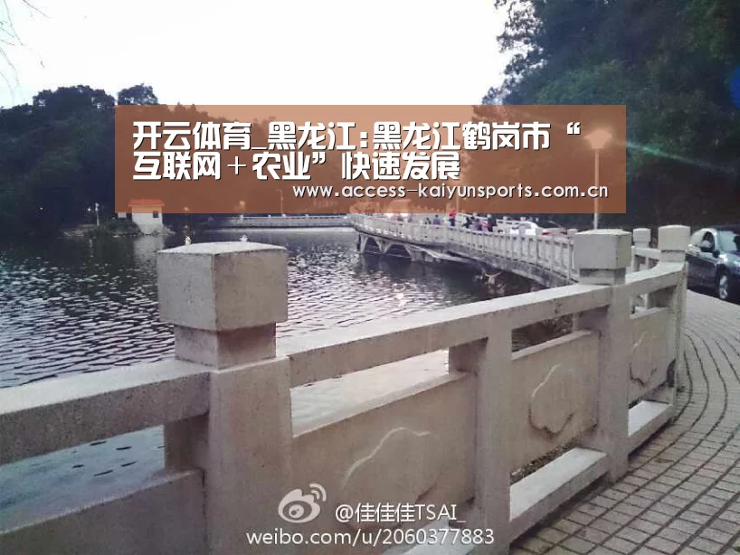 开云体育_黑龙江:黑龙江鹤岗市“互联网+农业”快速发展(图2) 开云体育