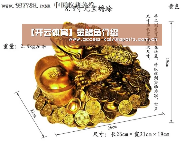 开云体育